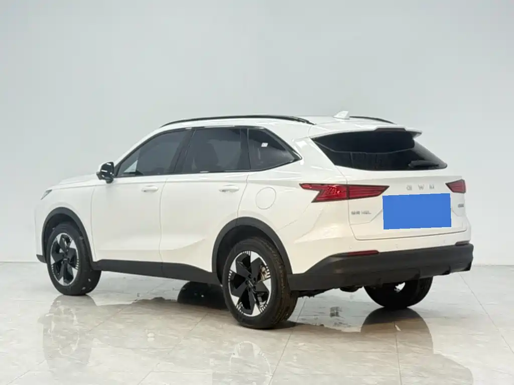 Haval 哈弗H6L — миниатюра 7