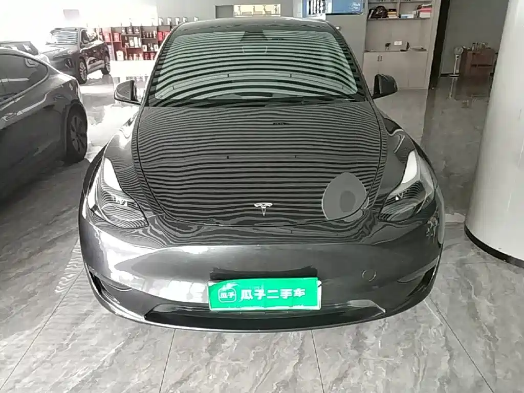 Tesla Model Y — миниатюра 3