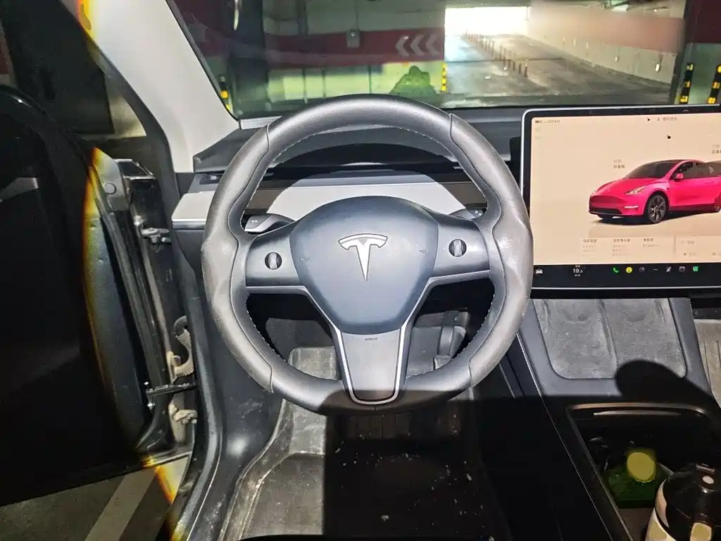 Tesla Model Y — миниатюра 3
