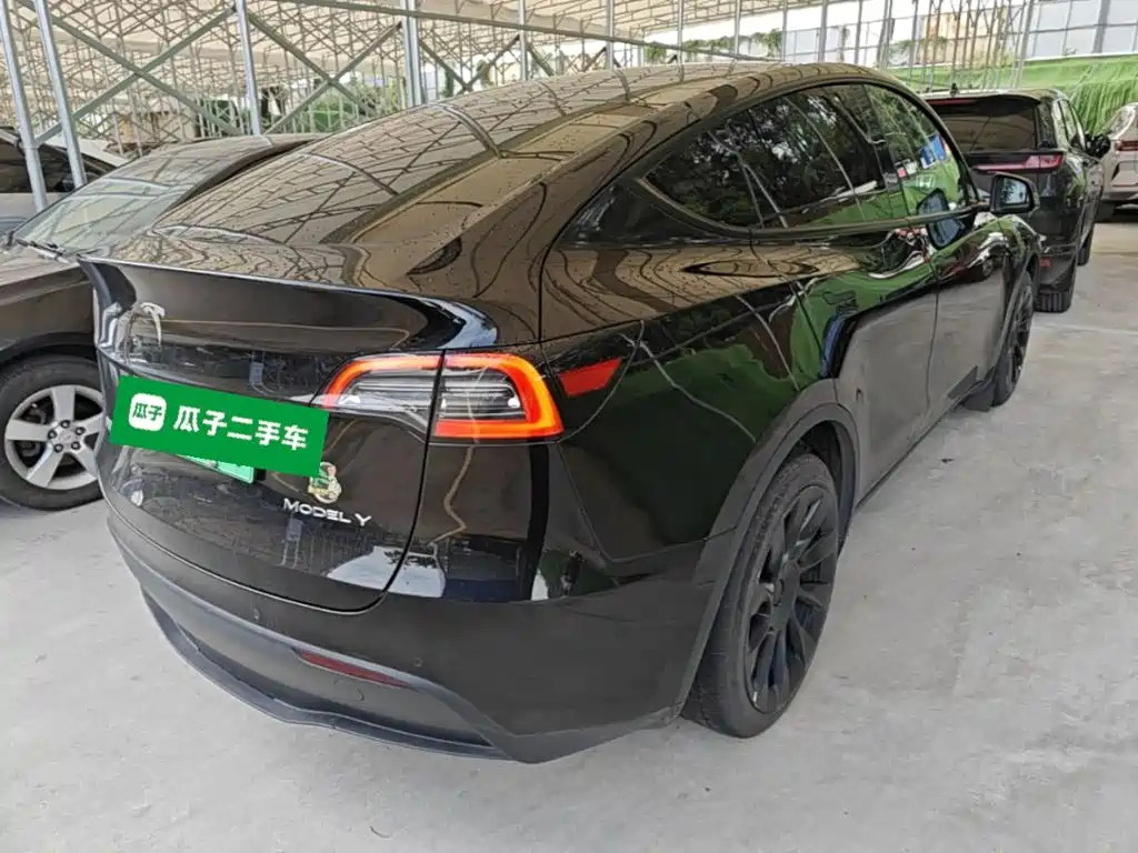 Tesla Model Y — миниатюра 7