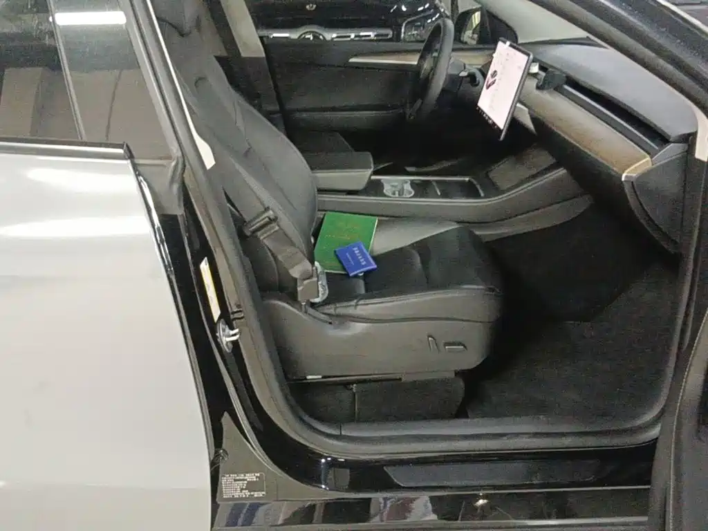 Tesla Model Y — миниатюра 25