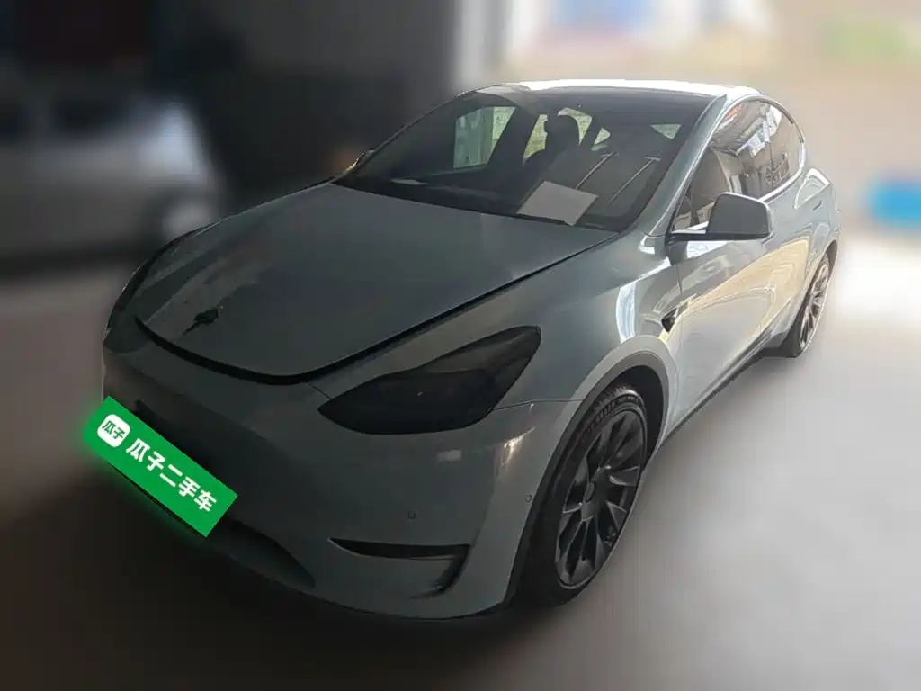 Tesla Model Y — миниатюра 3