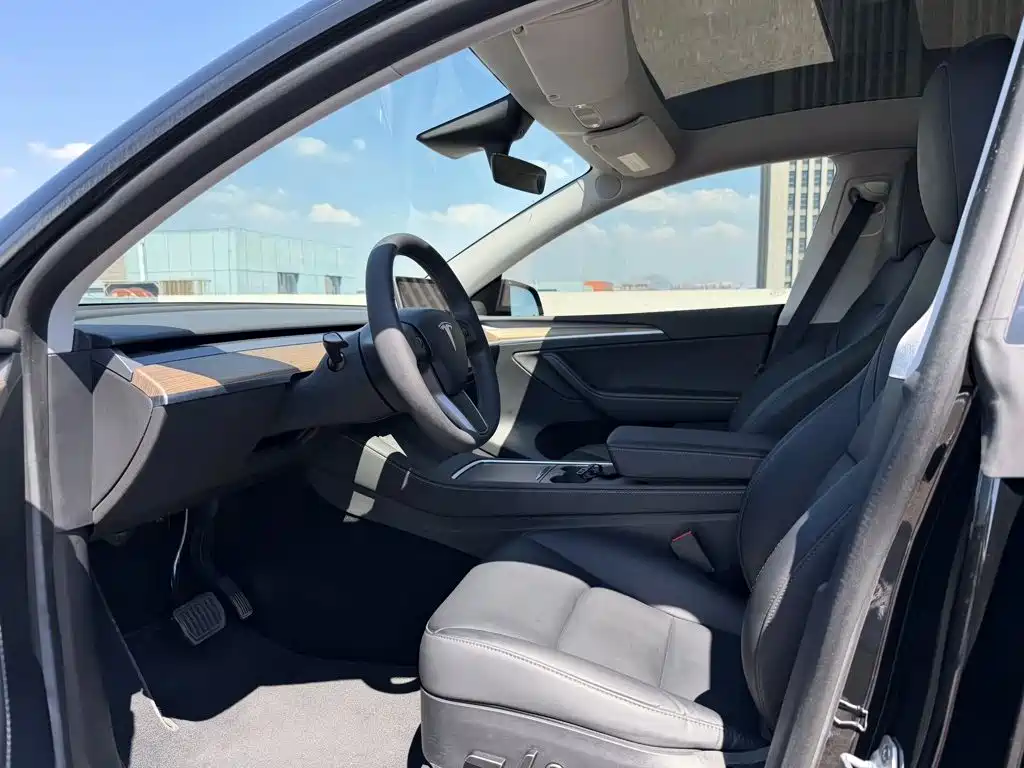Tesla Model Y — миниатюра 6