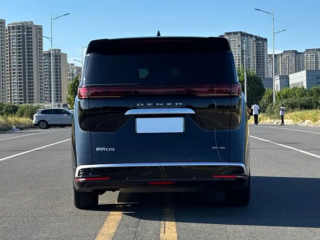 Denza Denza D9 — миниатюра 13