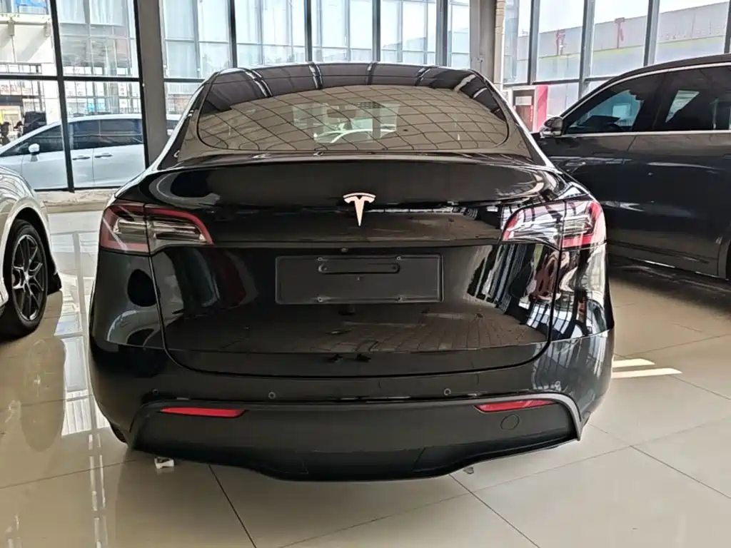 Tesla Model Y — миниатюра 6