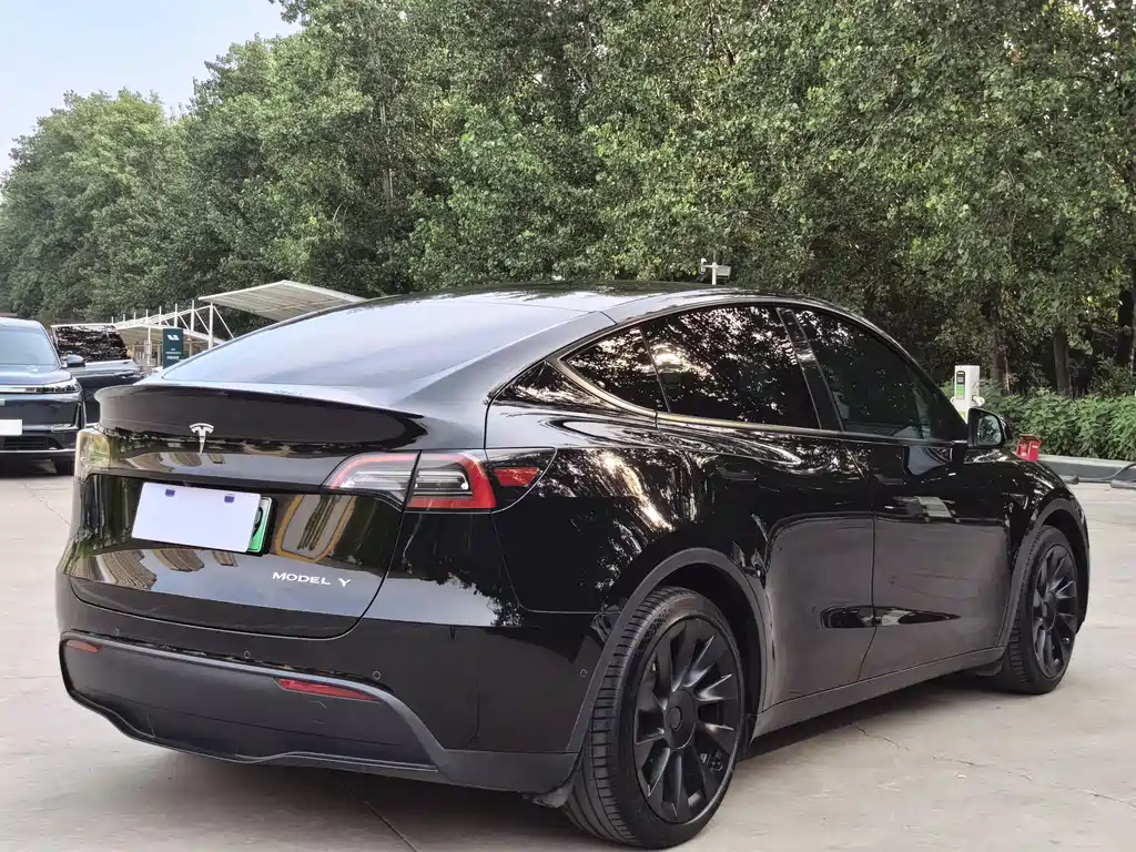 Tesla Model Y — фотографии объявления, Фото 16