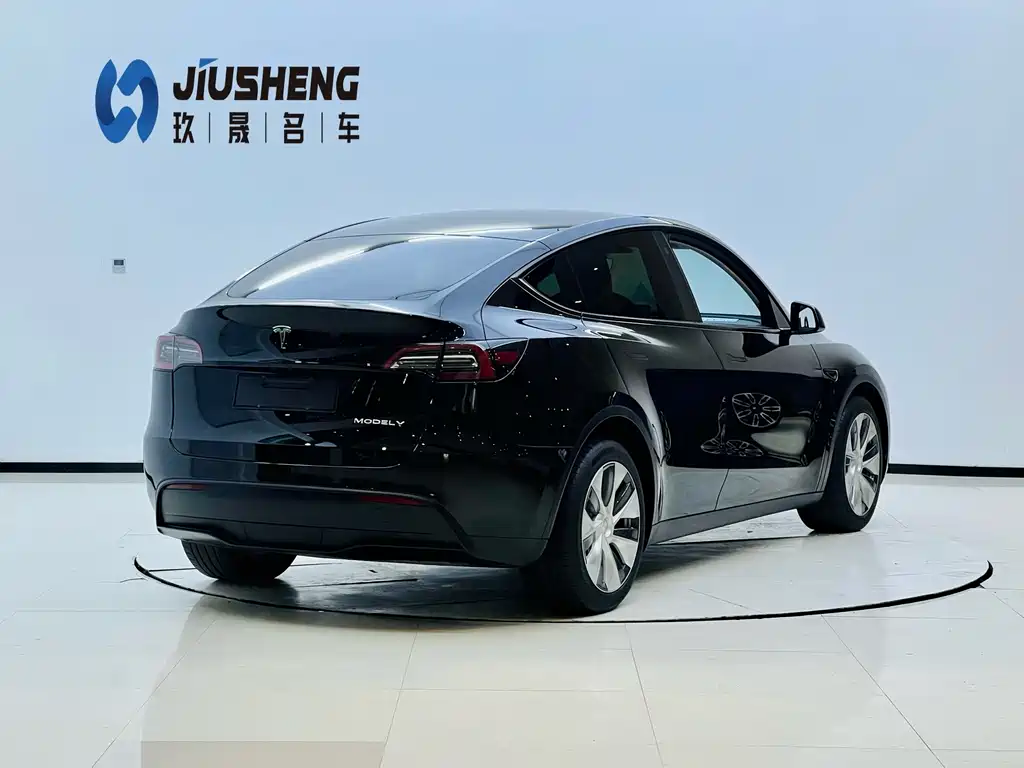 Tesla Model Y — миниатюра 6