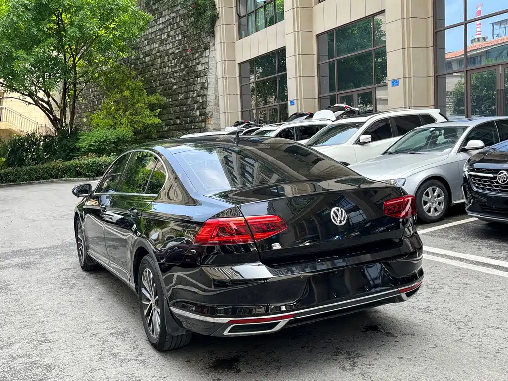 Volkswagen Magotan 2020 330TSI DSG Luxury