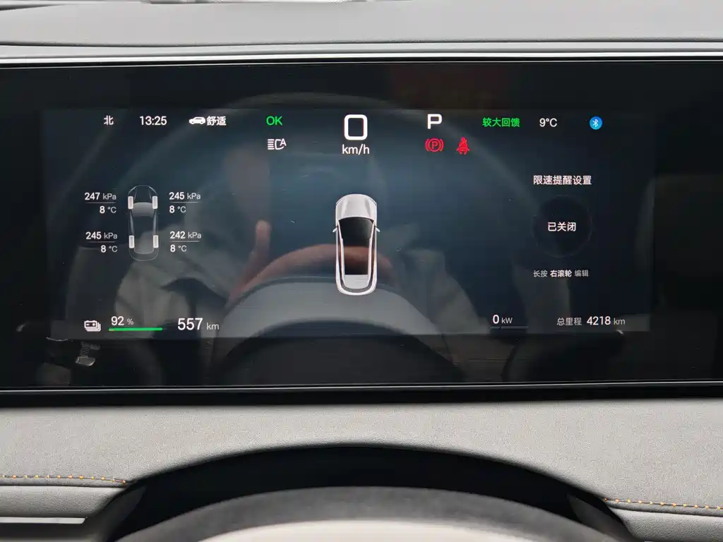 BYD SEA LION 06 NEW ENERGY