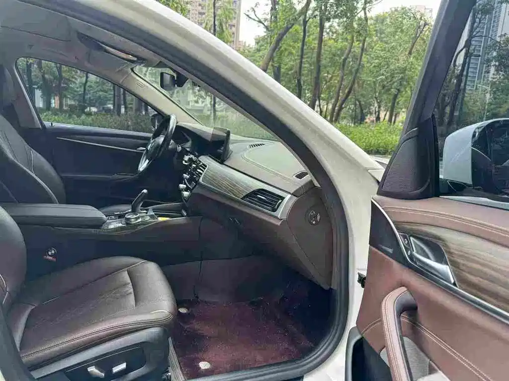 BMW 5 Series 5 2021 535Le Luxury