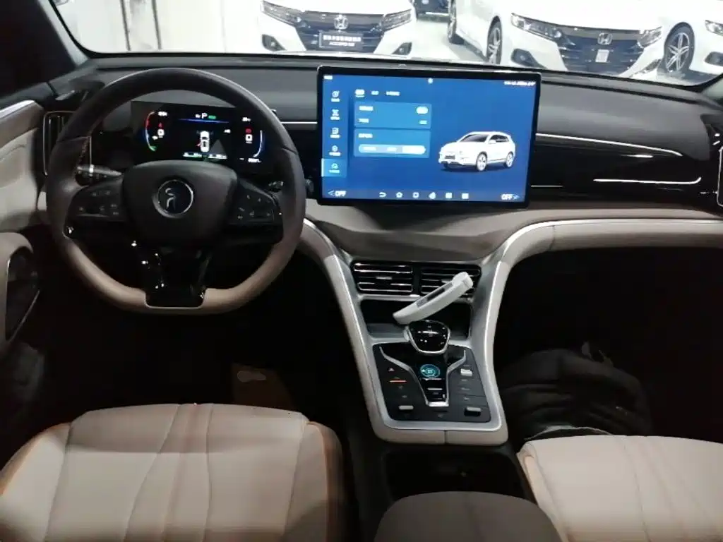 BYD Pro New Energy — миниатюра 10