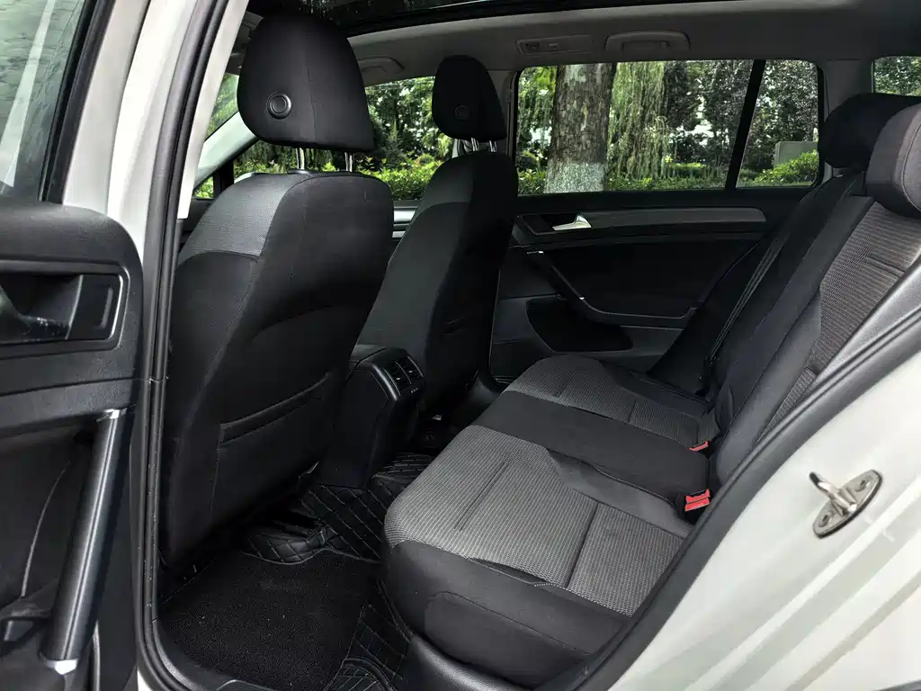 Volkswagen Golf (Import) — миниатюра 7