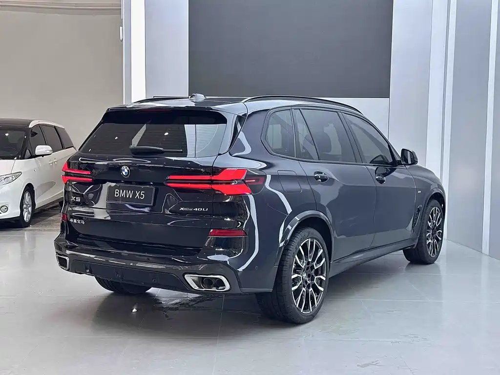 BMW X5 — миниатюра 19