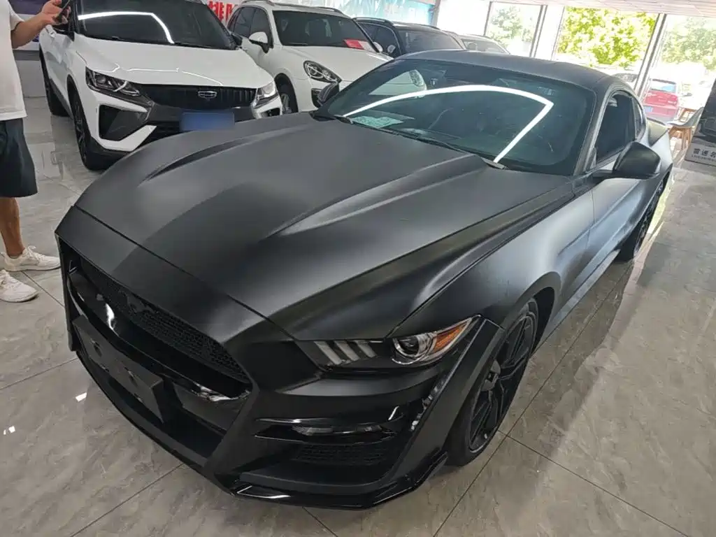 Ford Mustang — миниатюра 2