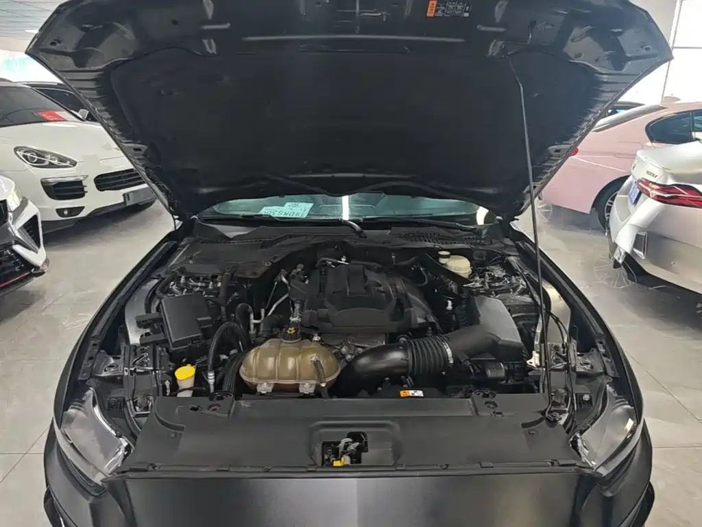 Ford Mustang — миниатюра 20