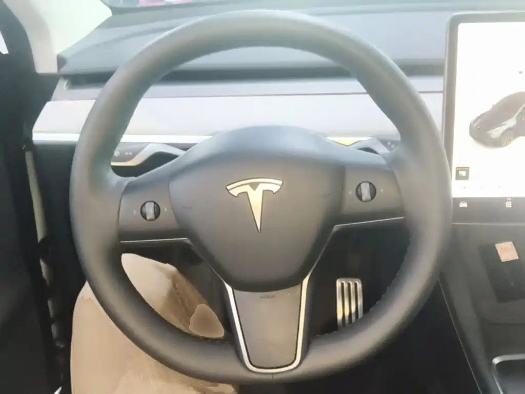 Tesla Model Y — миниатюра 11