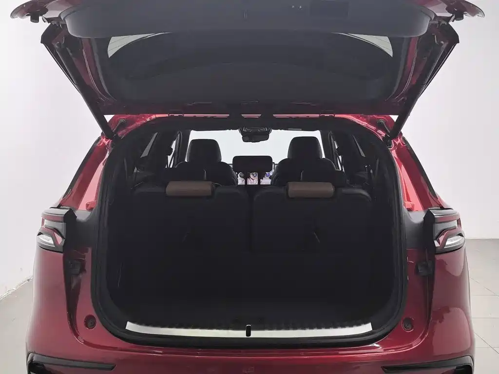 BYD Tang New Energy — миниатюра 16
