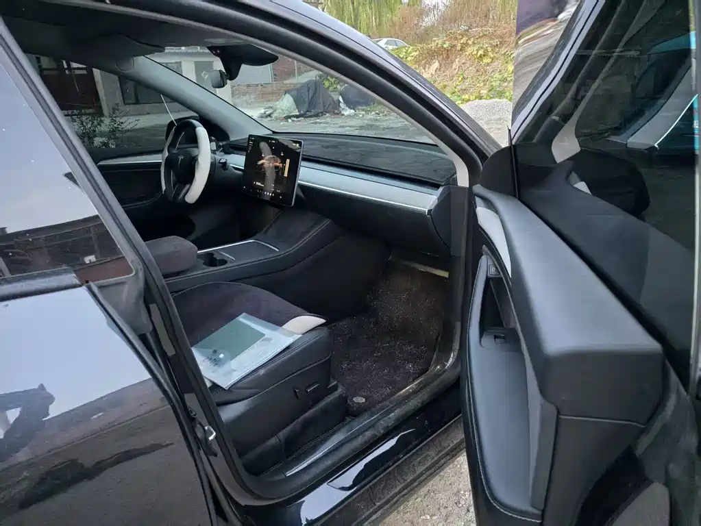 Tesla Model Y — миниатюра 4