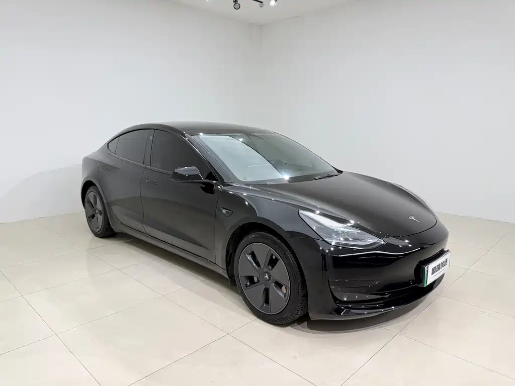 Tesla Model 3 — миниатюра 3