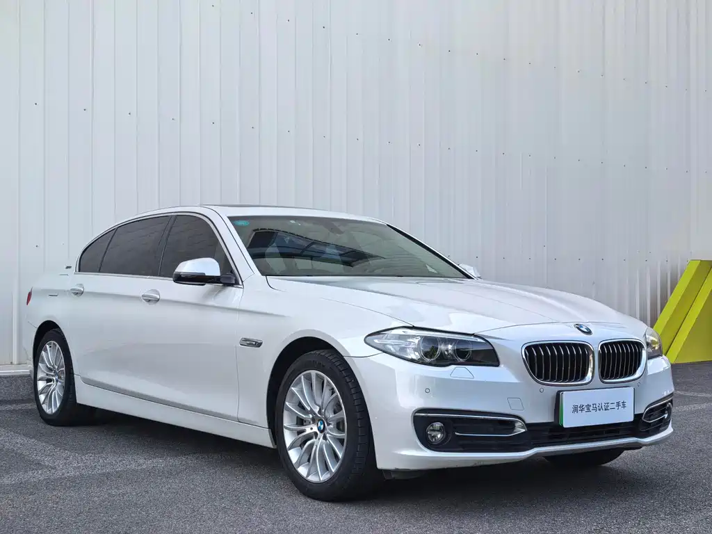 BMW 5 Series New Energy — миниатюра 3