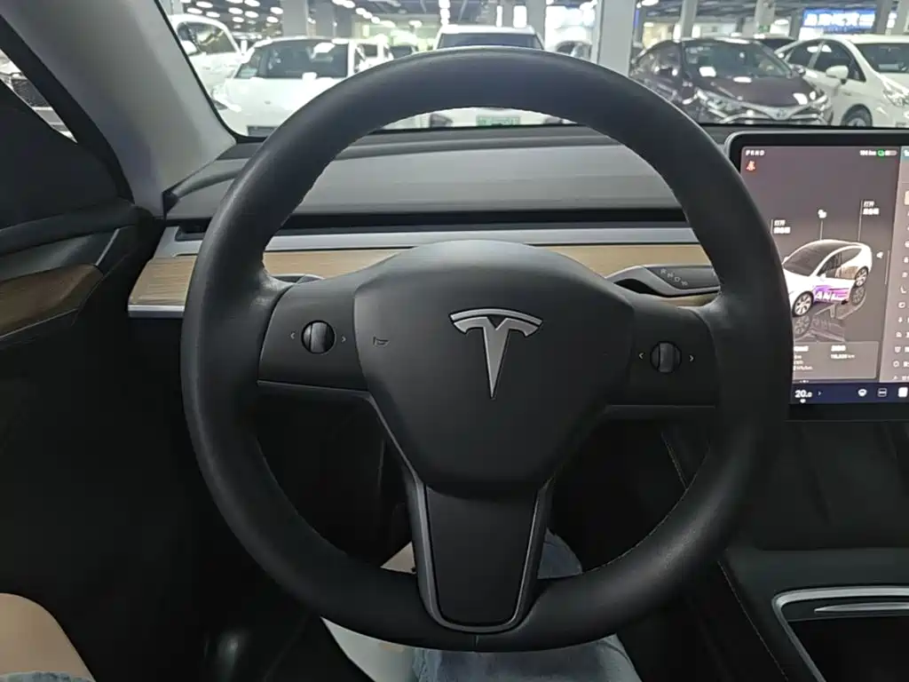 Tesla Model Y — миниатюра 11
