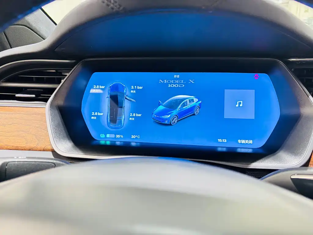 Tesla Model X — миниатюра 19