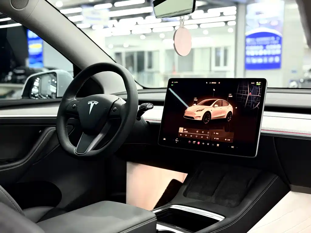 Tesla Model Y — миниатюра 12