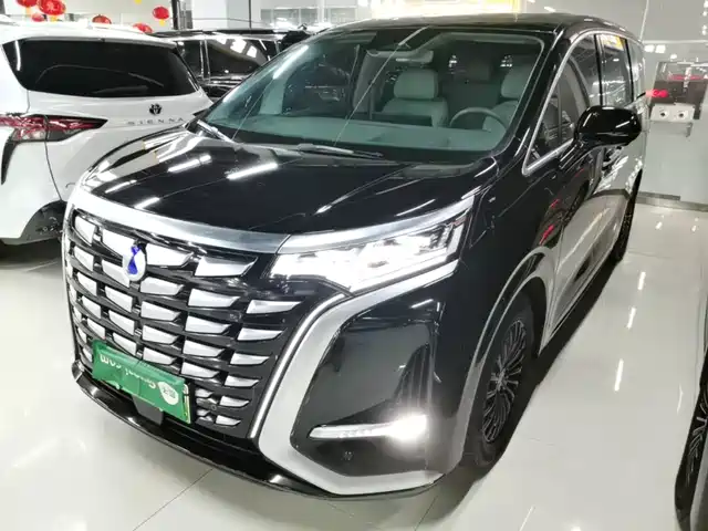 2023 Denza D9