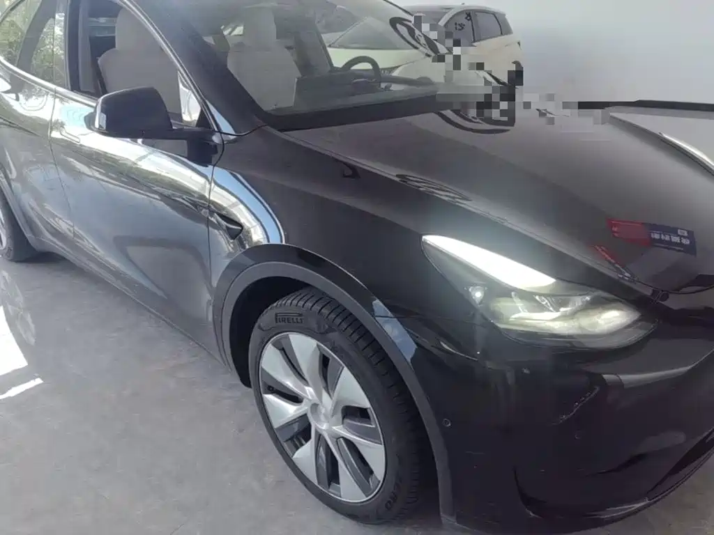 Tesla Model Y — миниатюра 4