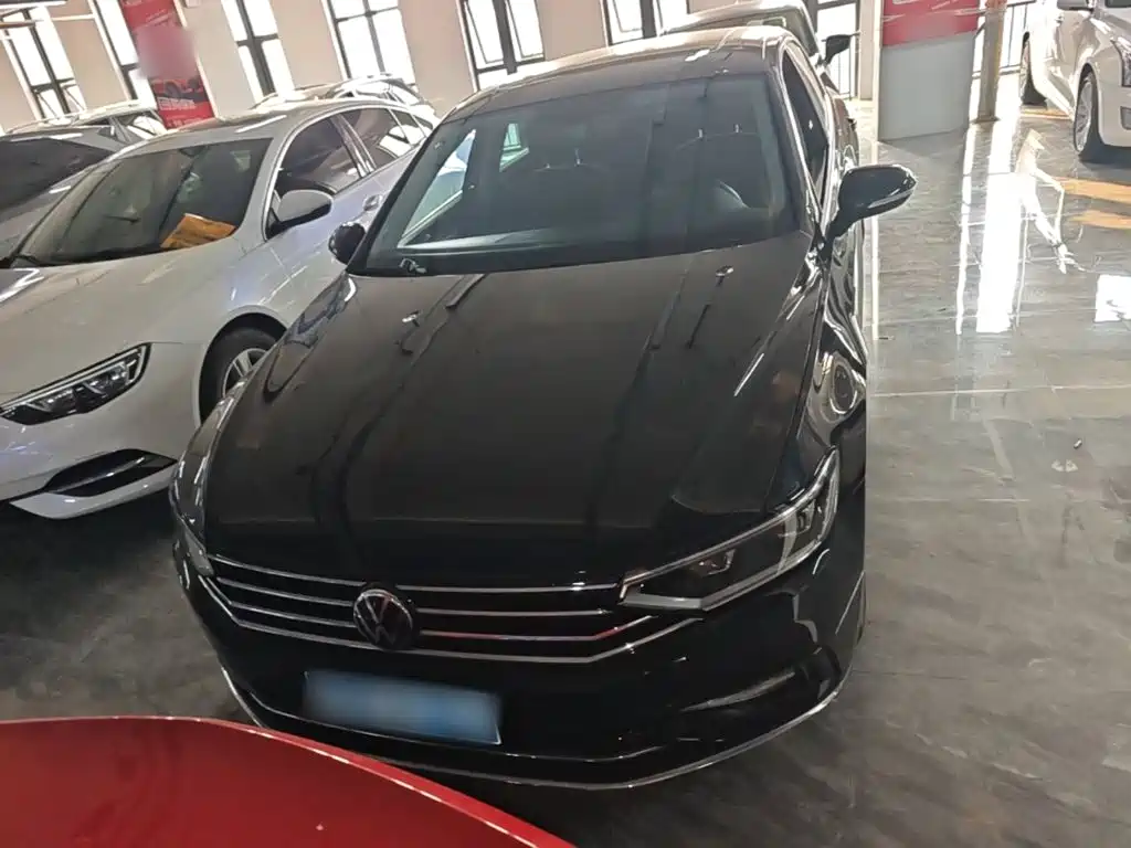 Volkswagen Magotan 2020 330TSI DSG Luxury