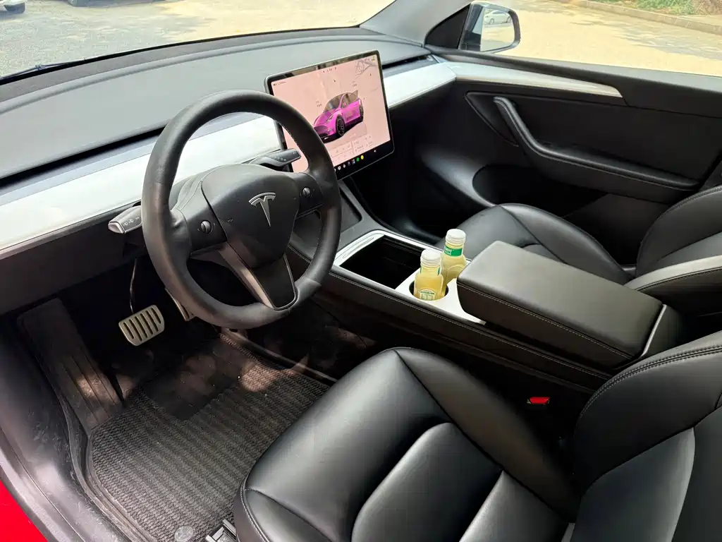 Tesla Model Y — миниатюра 4