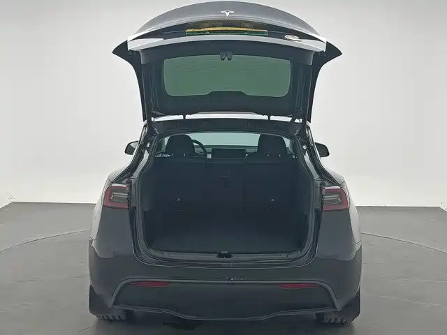 Tesla Model Y — миниатюра 9