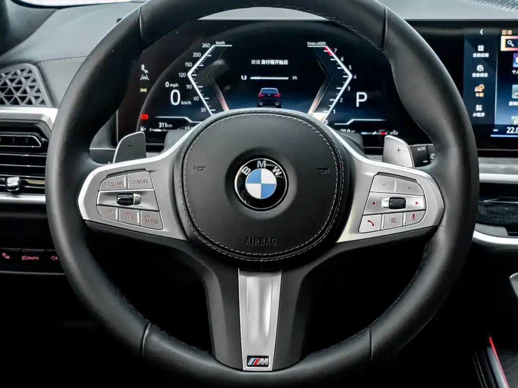 BMW X5 — миниатюра 16