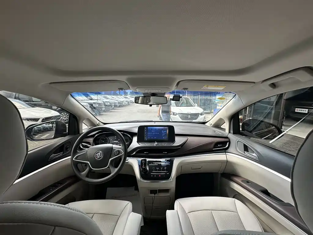 Buick GL8 — миниатюра 20