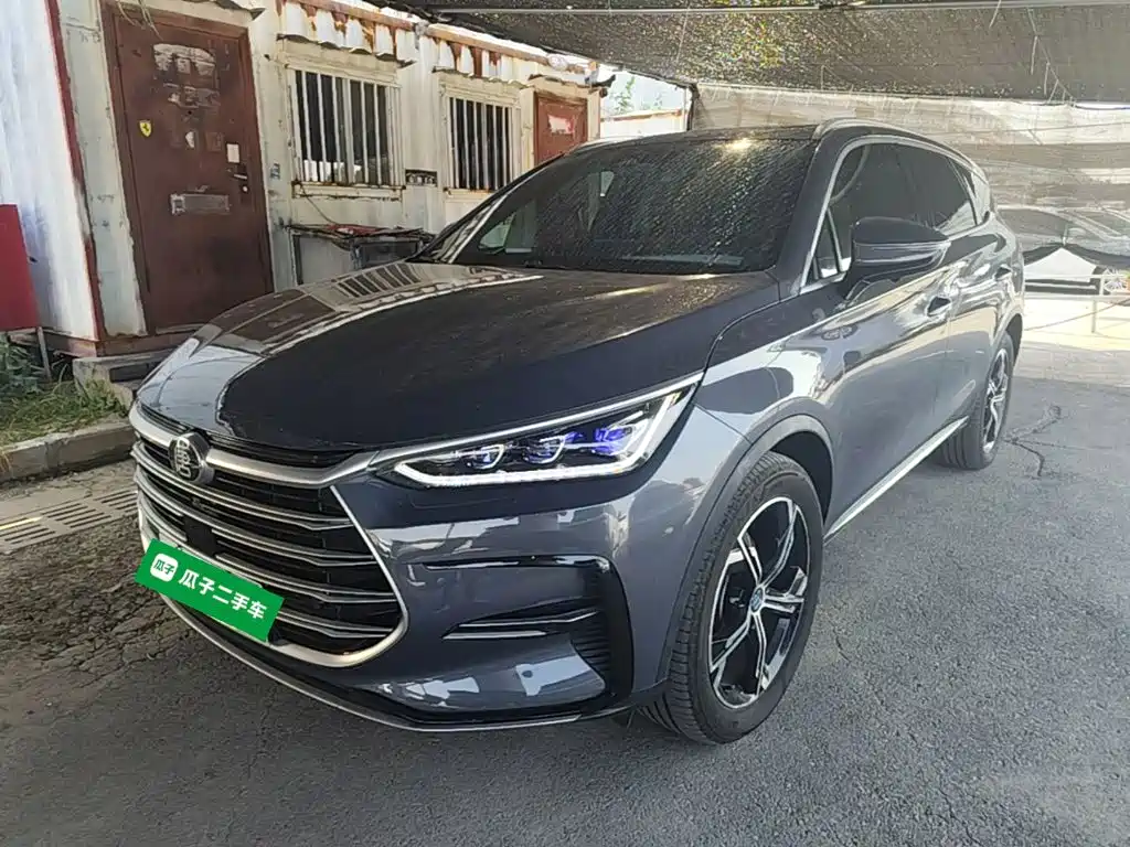 BYD Tang New Energy — миниатюра 2