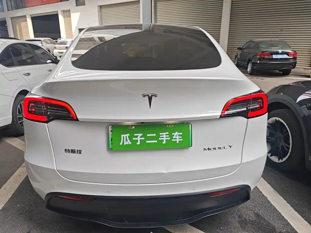 Tesla Model Y — миниатюра 6