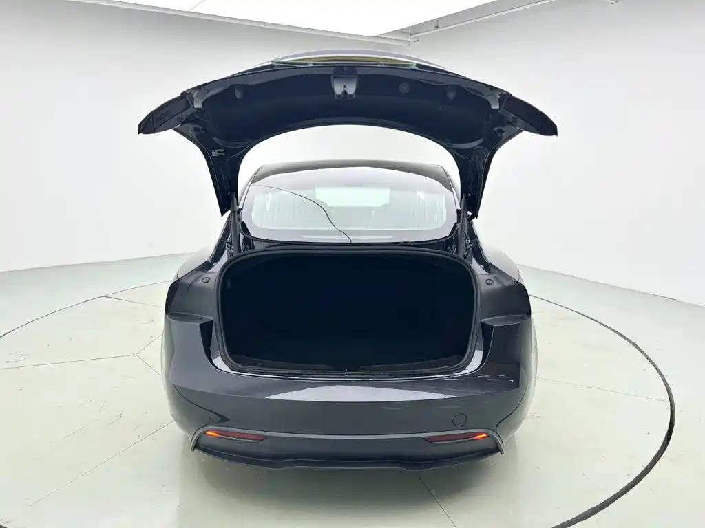 Tesla Model 3 — миниатюра 4