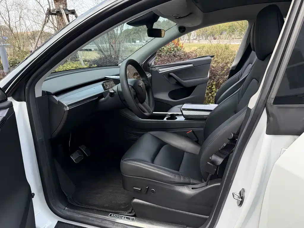 Tesla Model Y — миниатюра 2