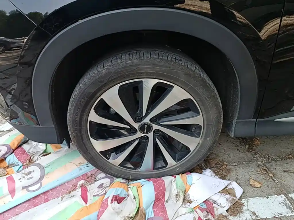 BYD PLUS New Energy — миниатюра 23