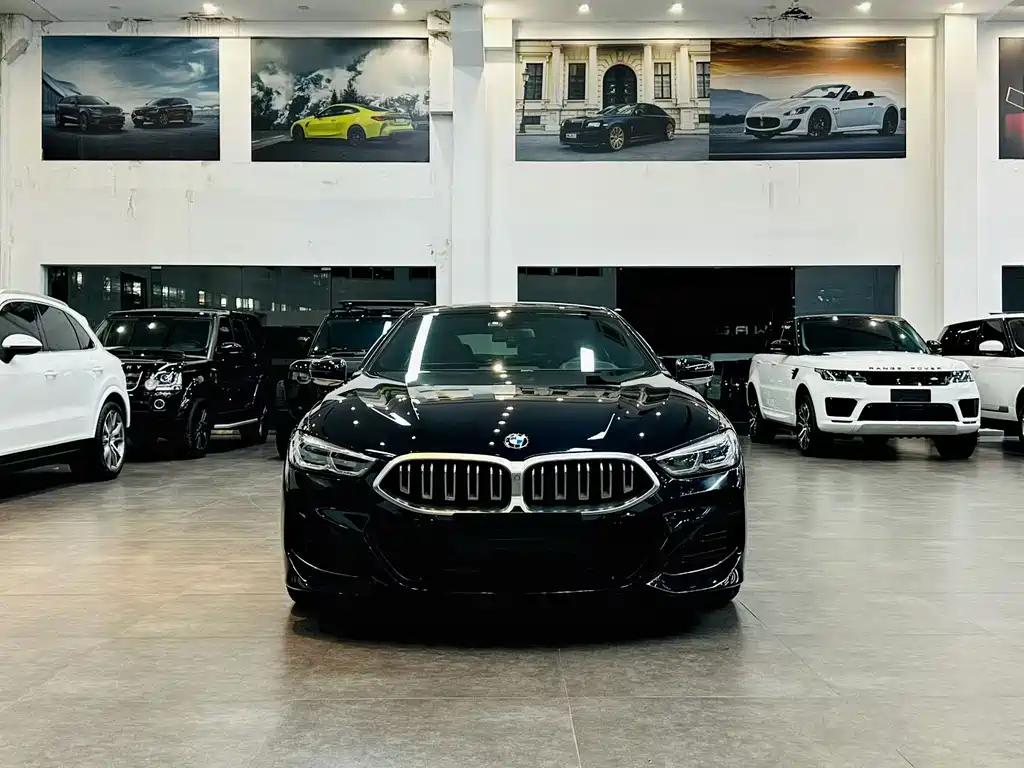 BMW 8 Series — миниатюра 2