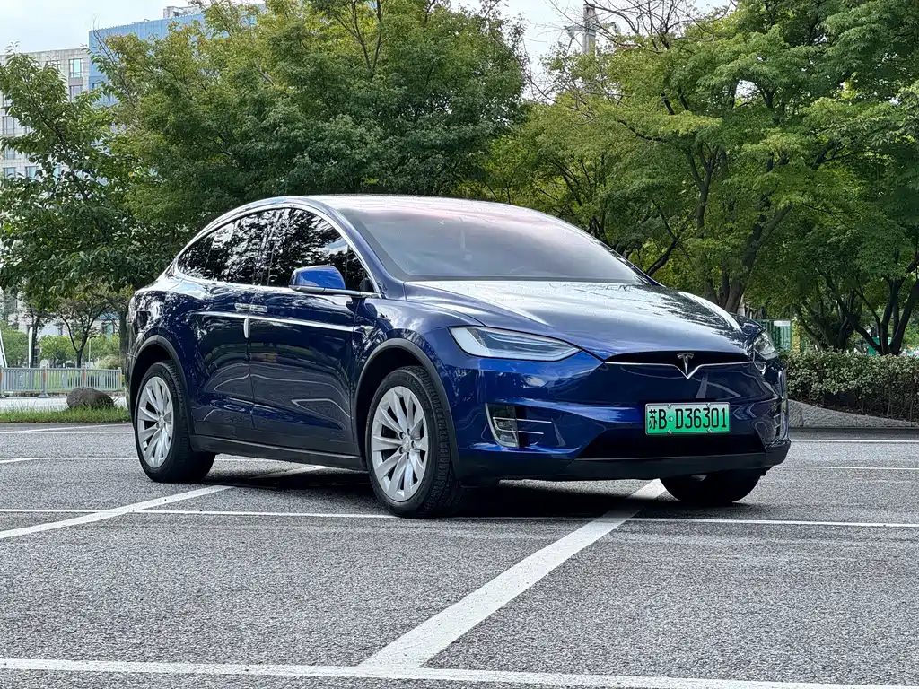 Tesla Model X — миниатюра 3