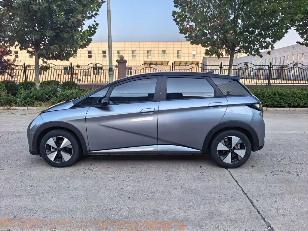 BYD Dolphin — миниатюра 15