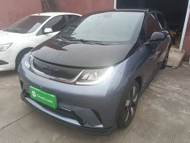 BYD Dolphin