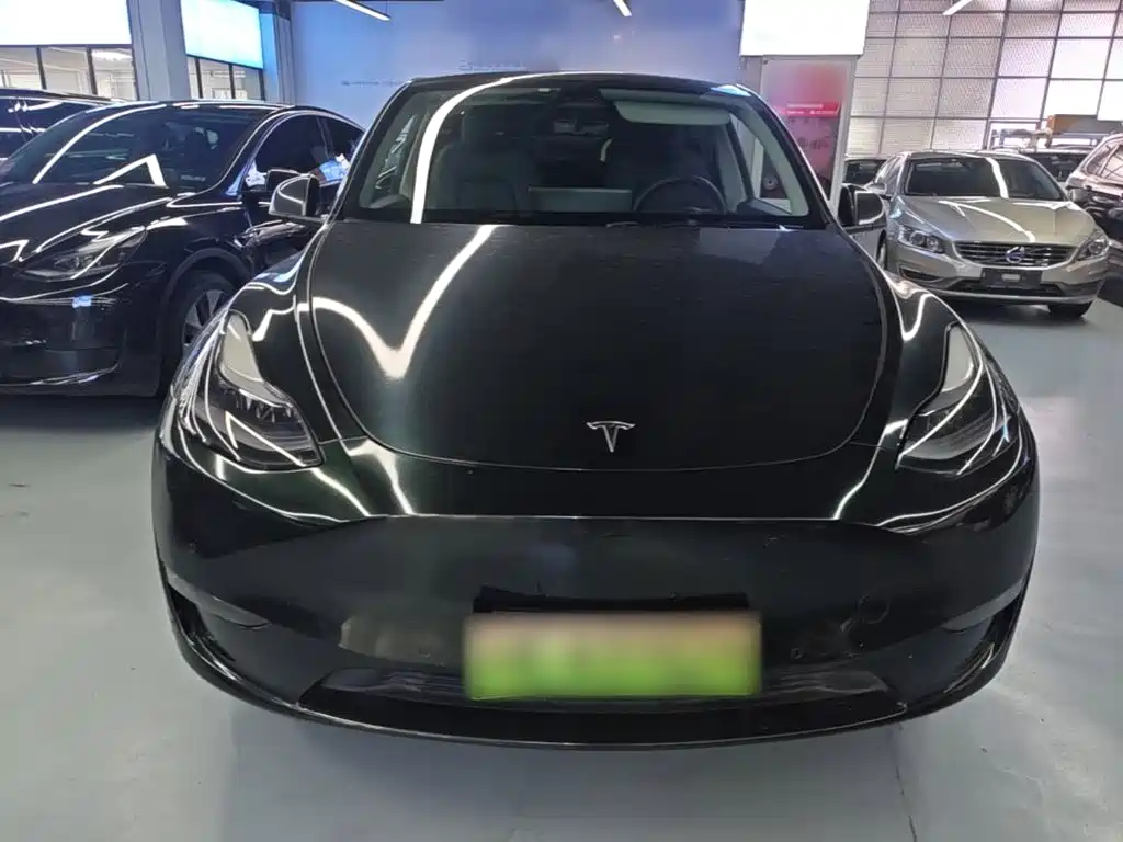 Tesla Model Y — миниатюра 3