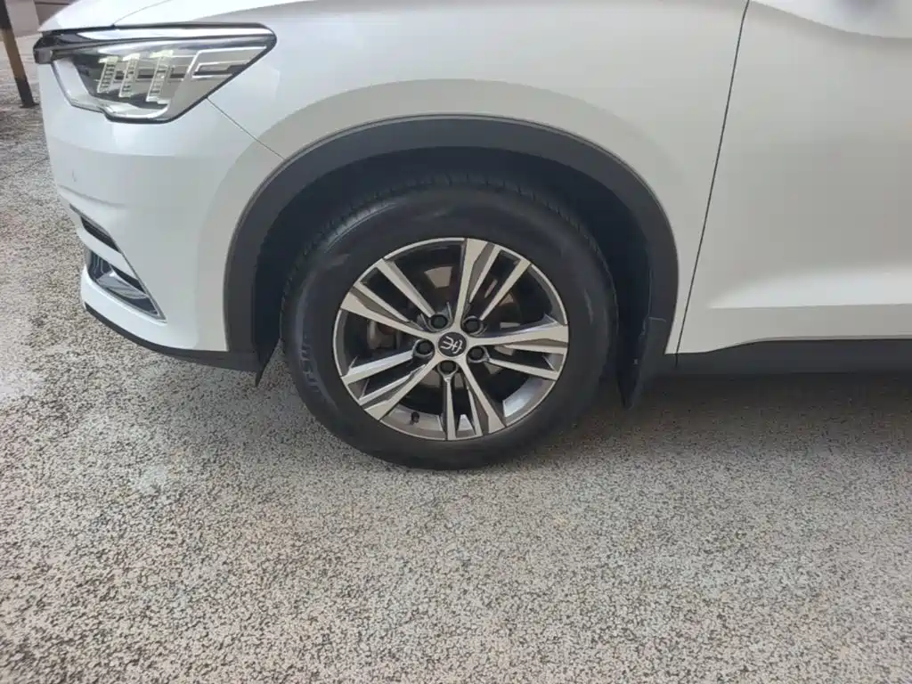 BYD Pro — миниатюра 23