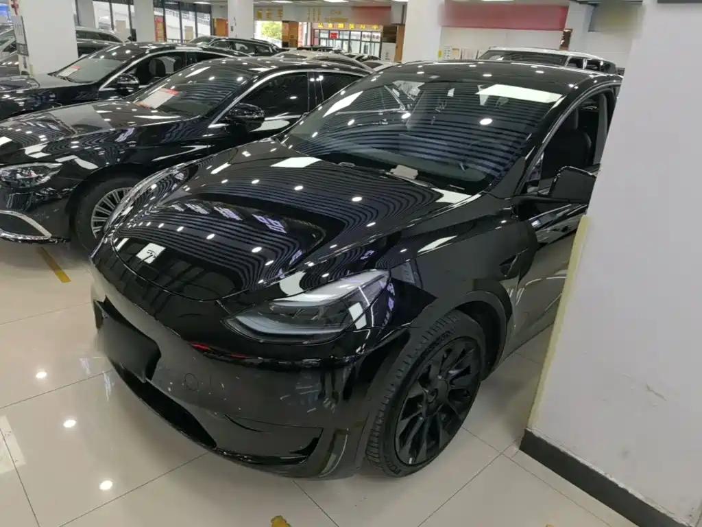 Tesla Model Y — миниатюра 2