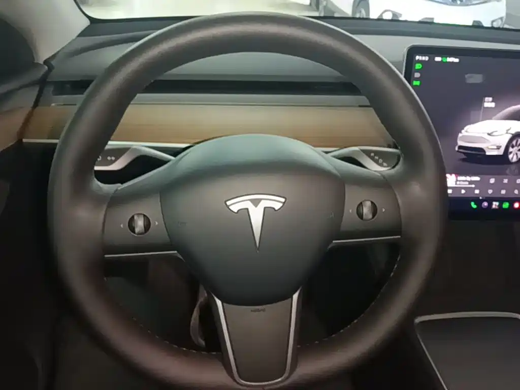 Tesla Model Y — миниатюра 11