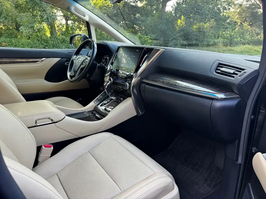 Toyota Alphard — миниатюра 12