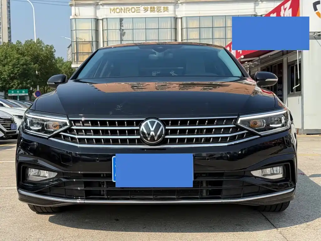 Volkswagen Magotan — миниатюра 2