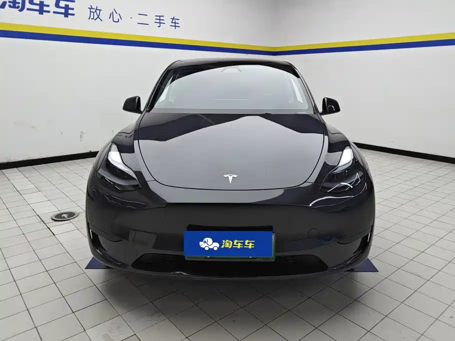 Tesla Model Y — миниатюра 2
